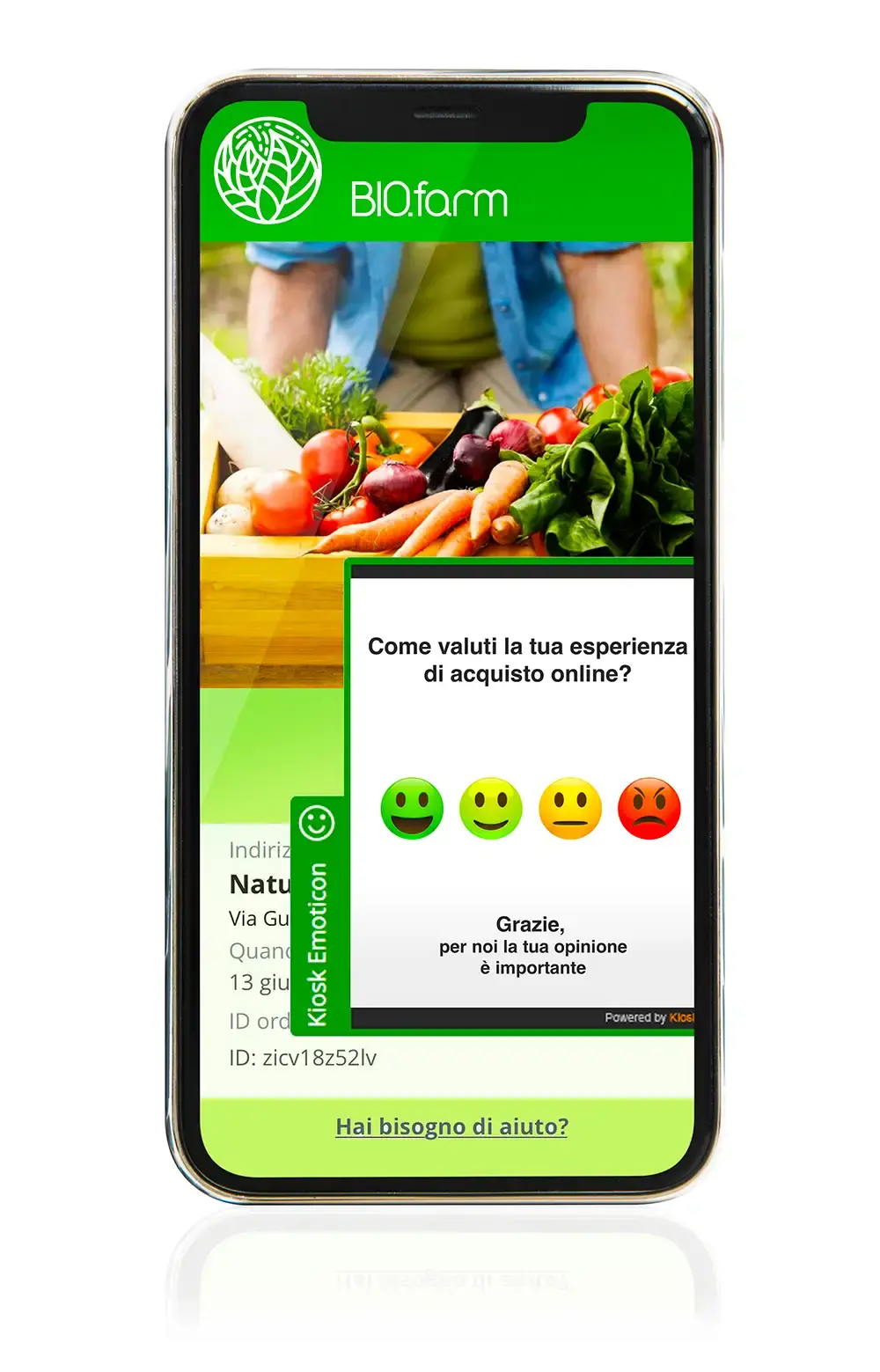 fare instant survey mediante dispositivo mobile